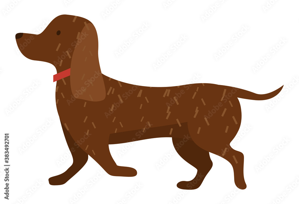 Cartoon dog vector illustration of cute purebred dachshund isolated on white background side view. Brown puppy runs along the road. Pet in a red collar for a walk. Domestic animal adorable doggy