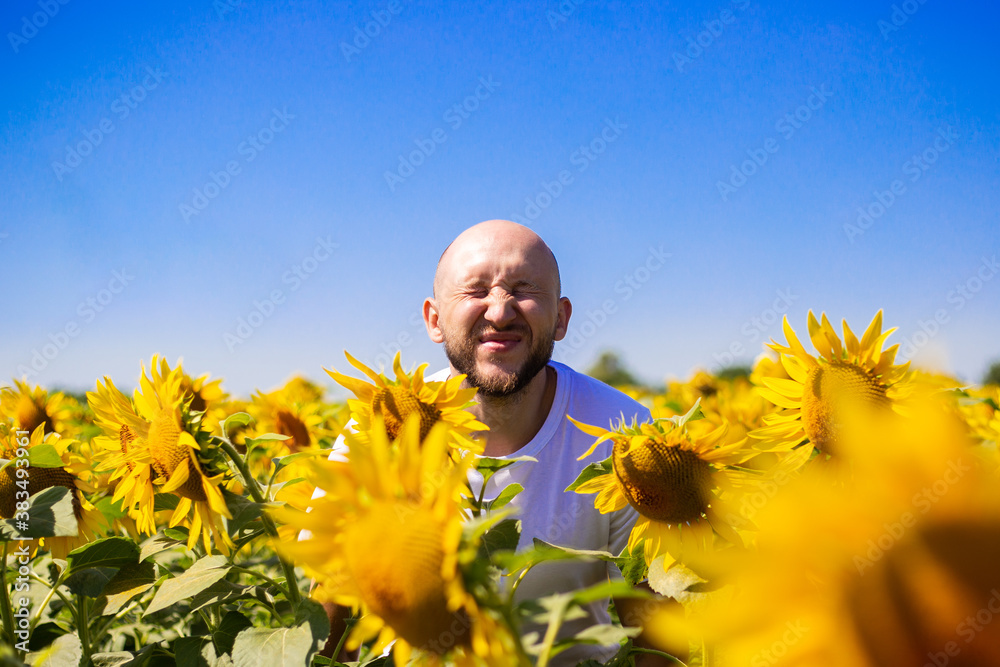 Young man peeks out of a sunflower field on a clear day Young man peeks out of a sunflower field on a clear day