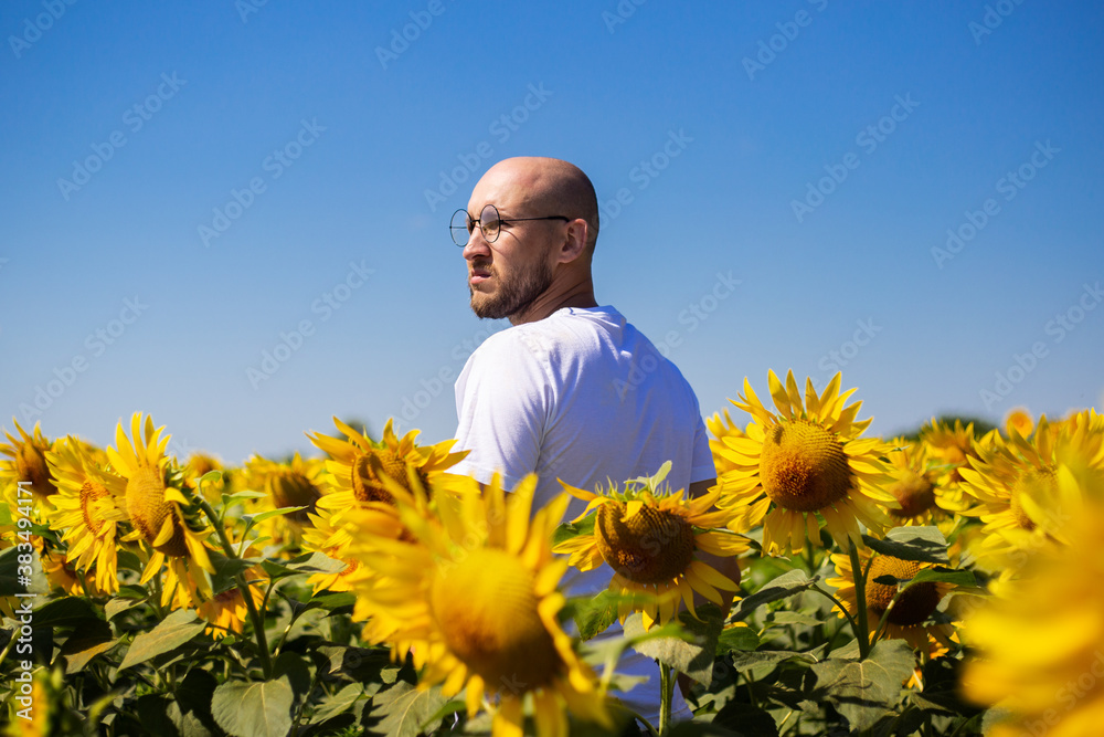 Young man with glasses on a sunflower field on a sunny day Young man with glasses on a sunflower field on a sunny day