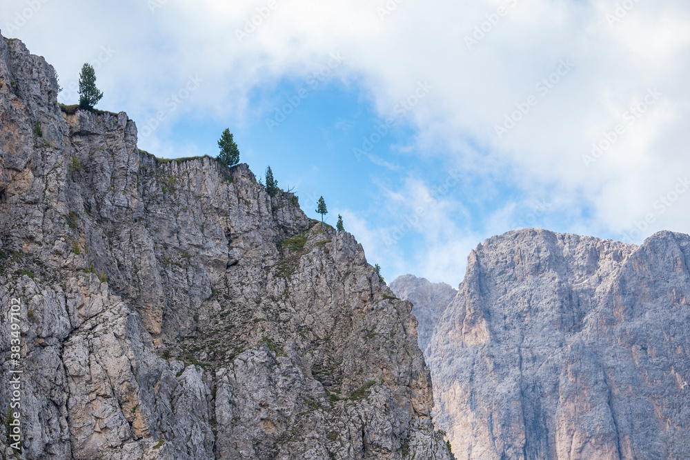 Fototapeta premium Trees on a mountain ridge