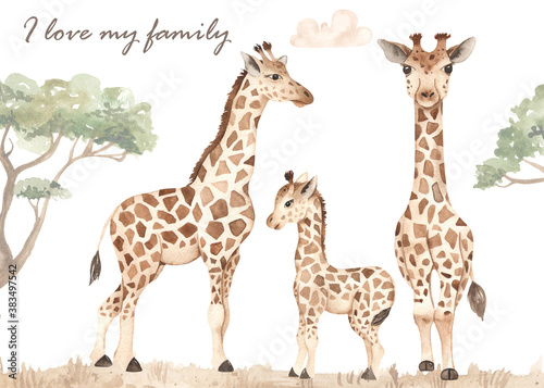 Giraffe family  mom  dad  kid  illustration  safari  savanna watercolor card