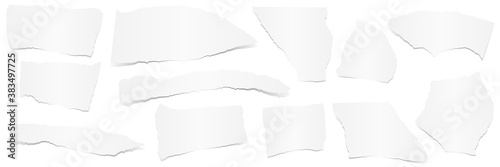 collection scrap of paper
