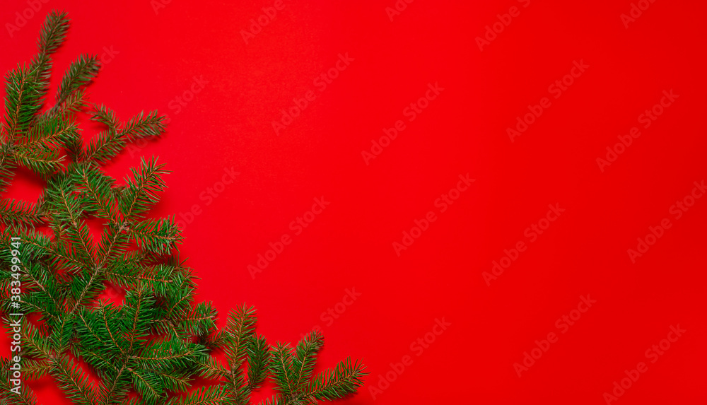 New Year's composition. Spruce branches on a red background. New Year's composition. Spruce branches on a red background.