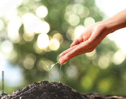 Farmer's hand watering a young plant on green bokeh nature