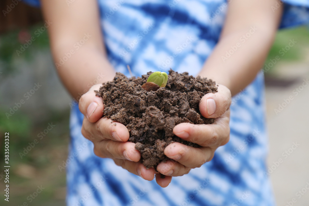 Agriculture. Farmer and nature baby plant in hands.