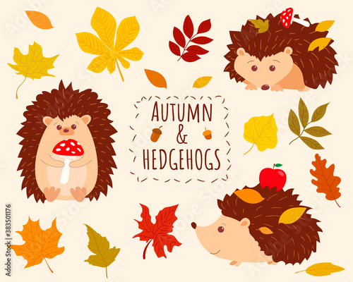 Cute hedgehogs set in cartoon style with autumn leaves decoration. Vector isolated elements