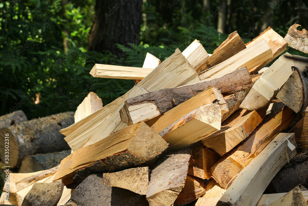 Firewood cut and stacked in the foreground, green forest in the background with sun rays. Firewood cut and stacked in the foreground, green forest in the background with sun rays.