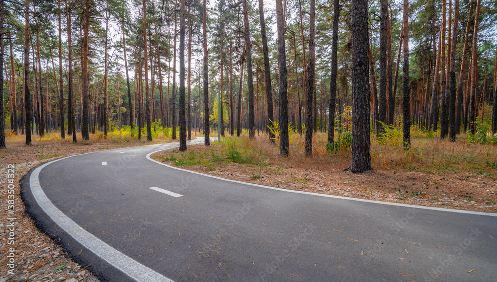 Obraz premium A winding Bicycle and running paved path in the autumn forest