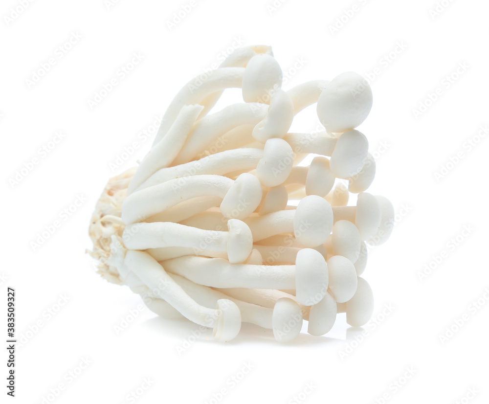 white beech mushroom or Shimeji mushroom on white background white beech mushroom or Shimeji mushroom on white background