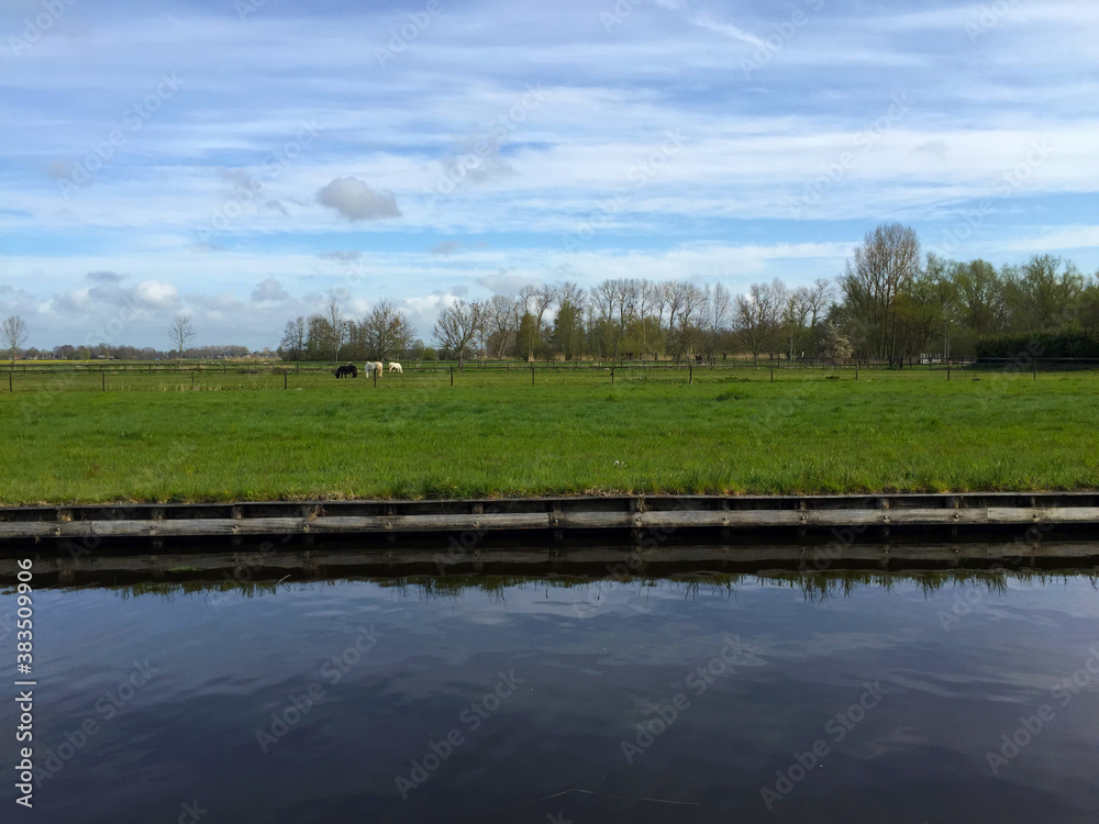 the river near meadow against blue sky in the village of Giethoorn, Holland Netherlands