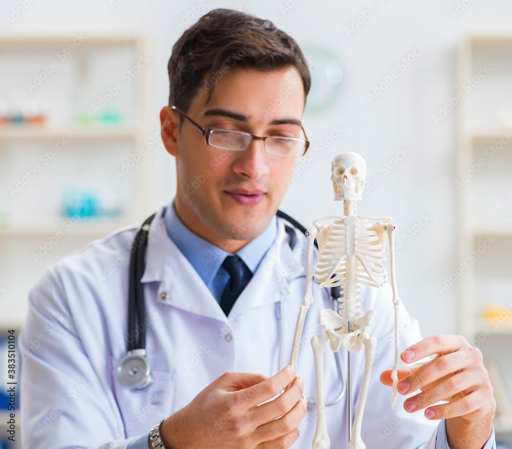 Doctor student studying the bones of skeleton Doctor student studying the bones of skeleton