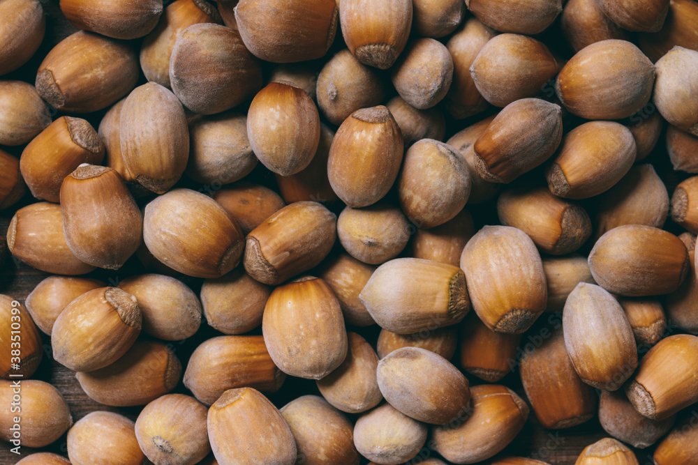 Pile of nuts.Hazelnuts. Corylus avellana. Macro photo, close up, top view. Pile of nuts.Hazelnuts. Corylus avellana. Macro photo, close up, top view.