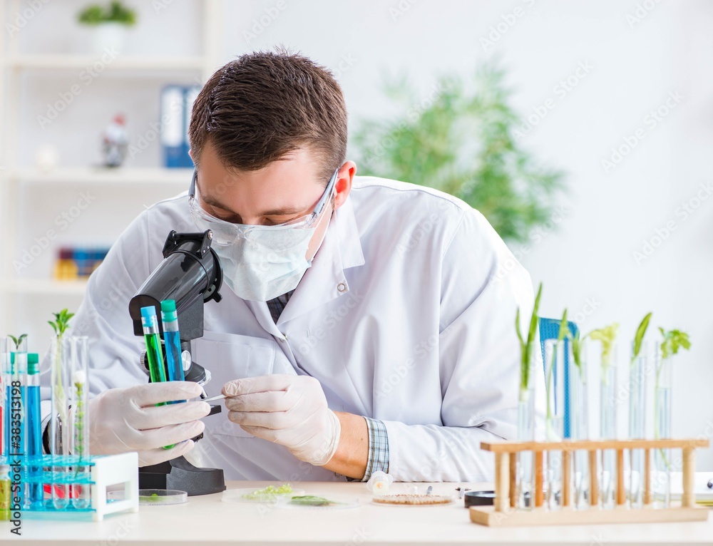 Male biochemist working in the lab on plants