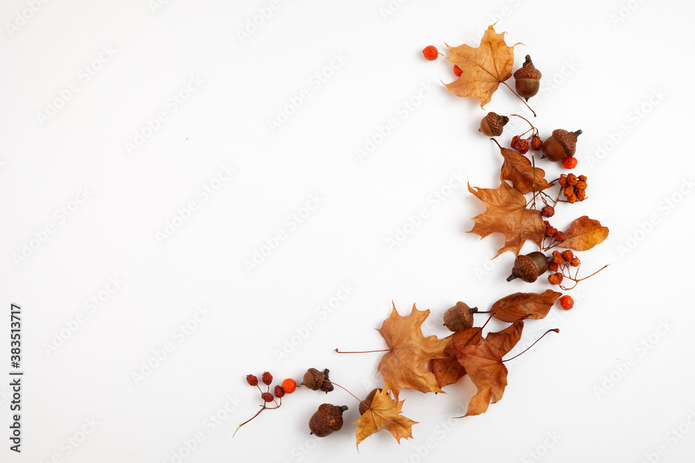 Plakat Autumn composition. Dried leaves on white background. Top view. Flat lay.