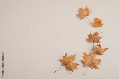 Autumn composition. Dried leaves and pompkins on pastel biege background. Top view. Flat lay.