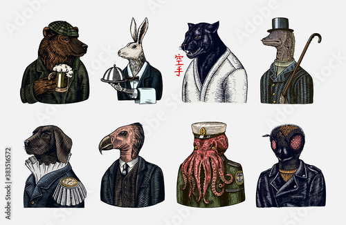 Grizzly Bear with a beer mug. Octopus sailor and Hare or Rabbit waiter. Dog officer and bird. Black panther and Bee biker. Japanese text means: karate. Fashion animal character. Hand drawn sketch.