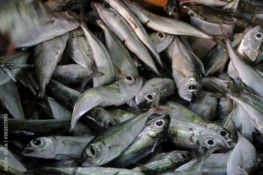 Obraz premium Fischmarkt