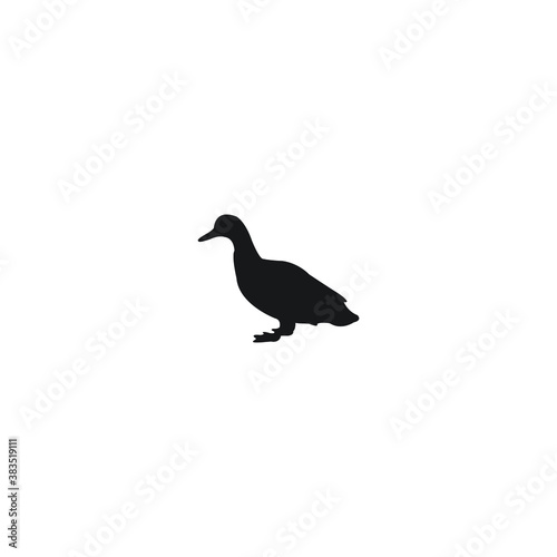 pigeon isolated on white background icon vector logo