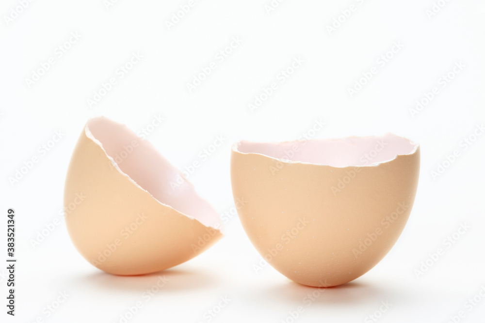 卵の殻 卵の殻