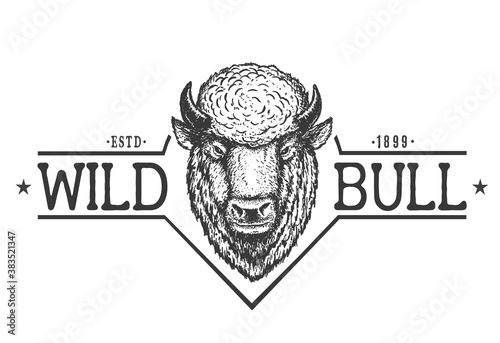 Wild bull