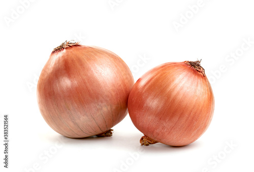Wallpaper Mural Fresh Onion isolated on white background Torontodigital.ca