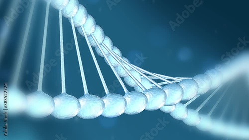 DNA is a nucleic acid molecule that stores and transmits genetic information of a living organism