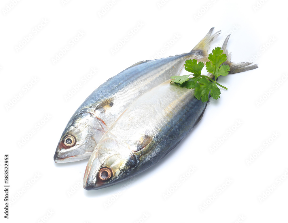Fresh mackerel isolated on white background Fresh mackerel isolated on white background