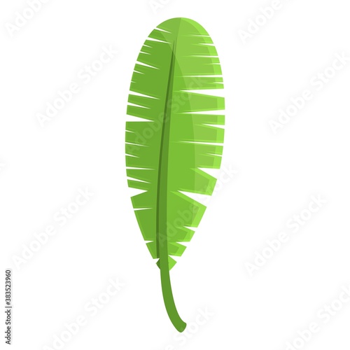 Summer party tropical long leaf icon. Cartoon of summer party tropical long leaf vector icon for web design isolated on white background