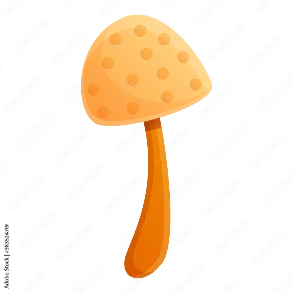 Autumn white mushroom icon. Cartoon of autumn white mushroom vector icon for web design isolated on white background
