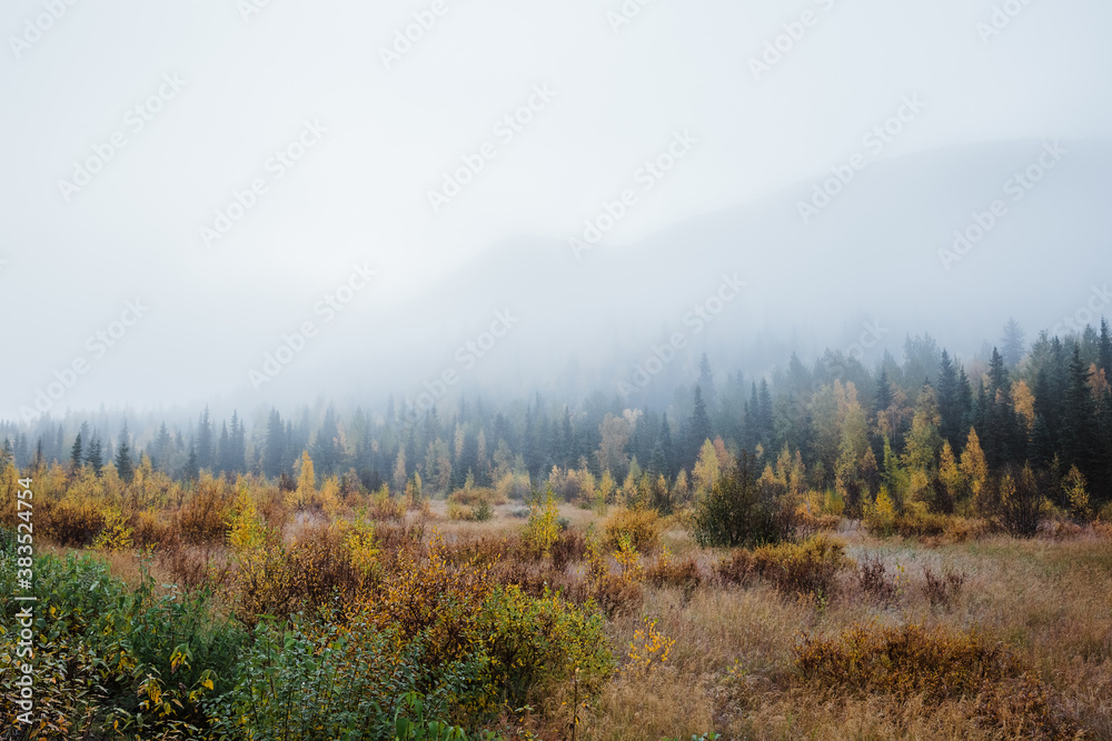 foggy autumn morning in mountains foggy autumn morning in mountains