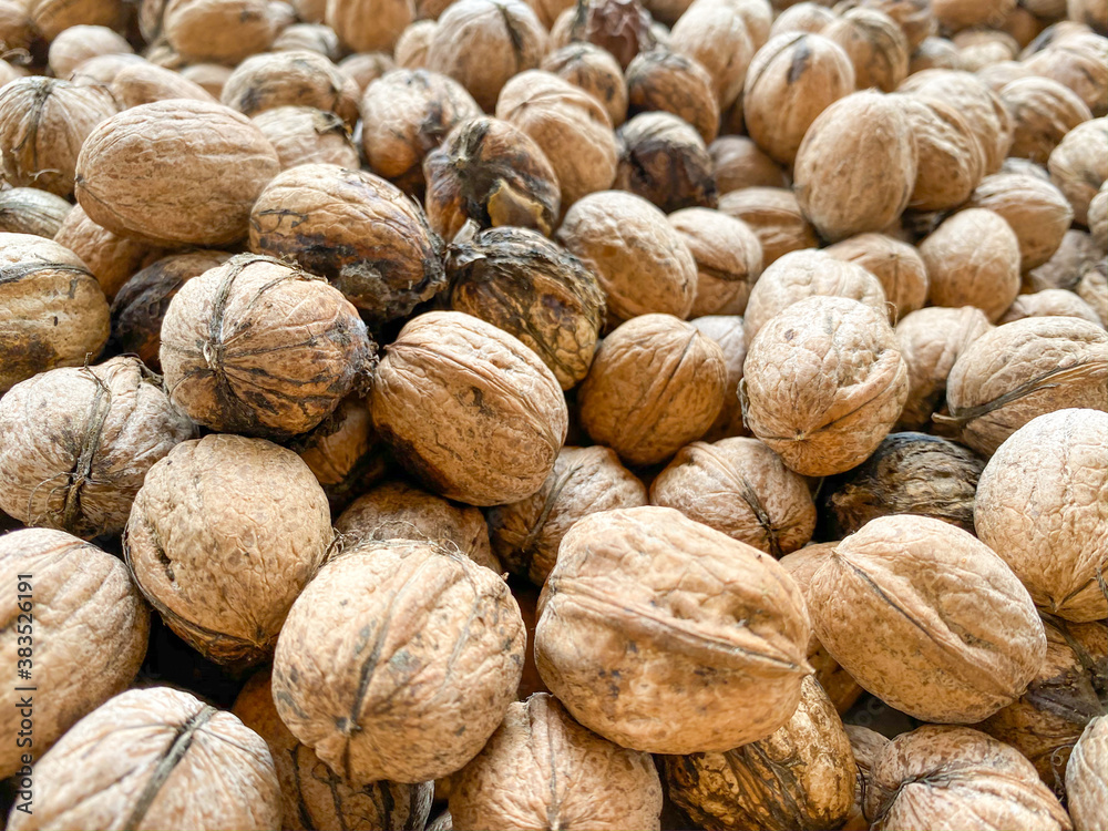 Walnuts opened the shell and the collected Walnuts opened the shell and the collected