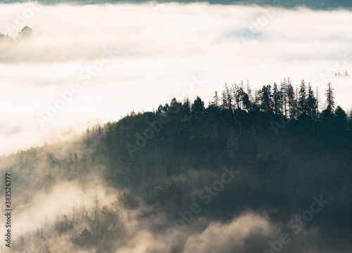 Foggy morning mist in valley. Misty landscape mountain