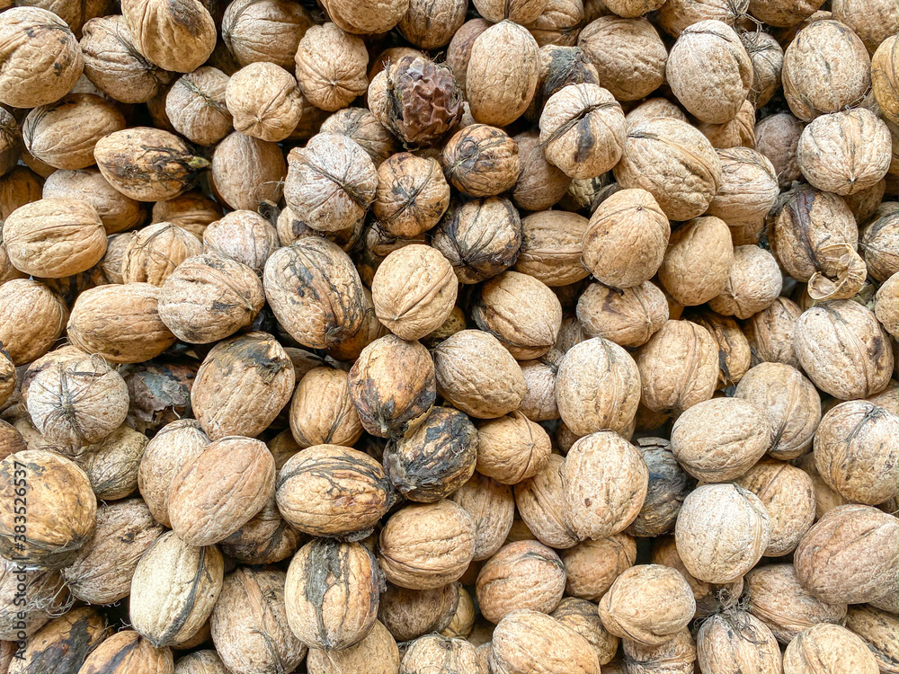 Walnuts opened the shell and the collected Walnuts opened the shell and the collected