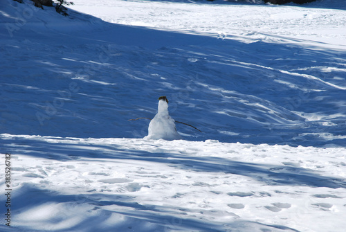 penguin snowman