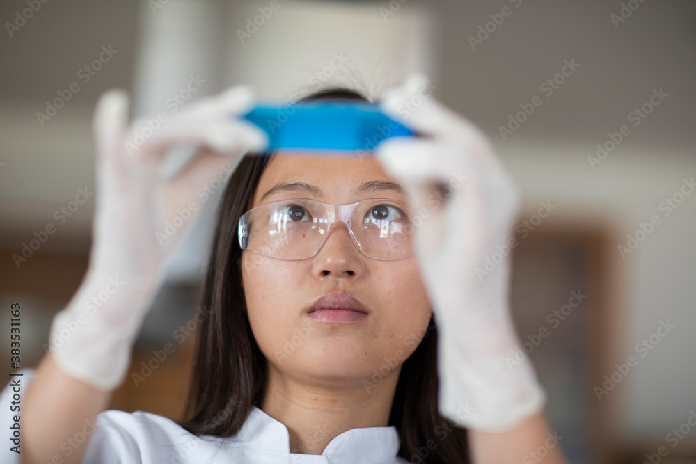 scientist female with lab glasses and tubes in a lab Stock Photo