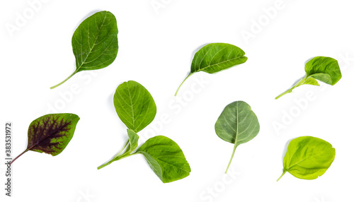 spinach isolated on white background clipping path