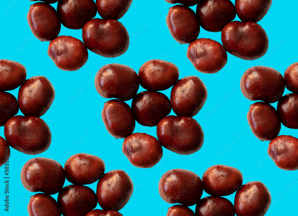 Obraz premium Solid chestnuts pattern on blue background