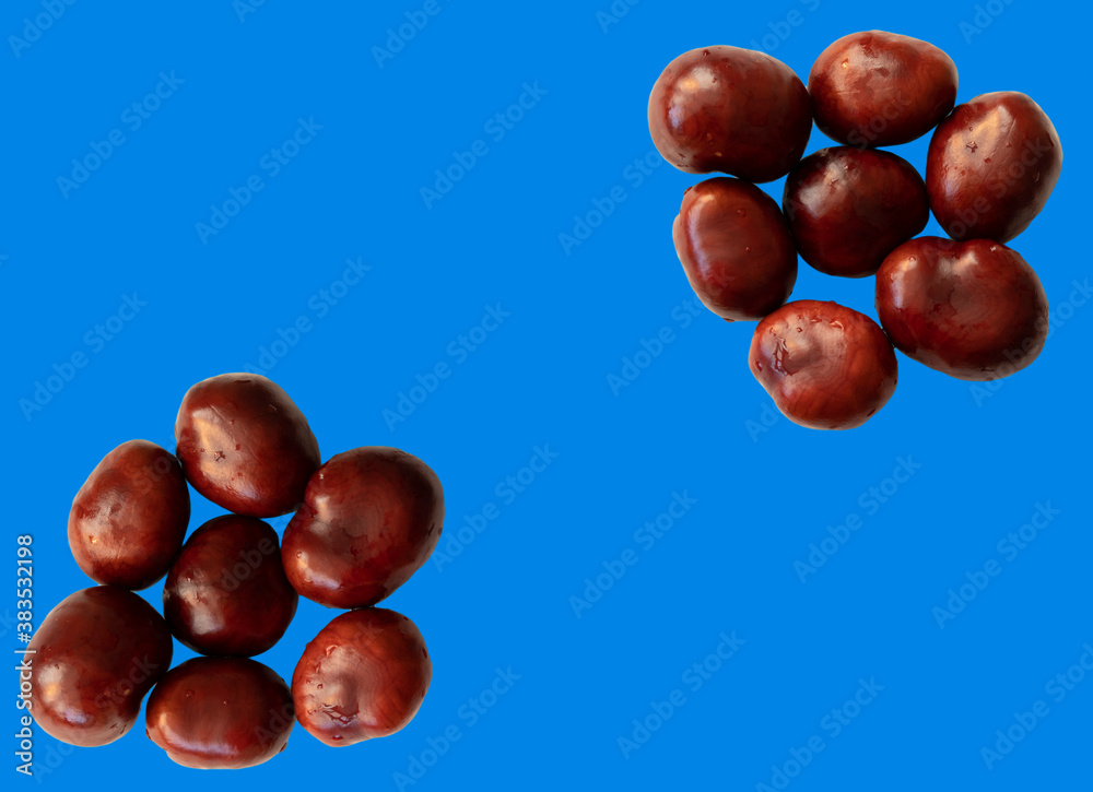 Obraz premium The chestnuts are at the corners opposite each other
