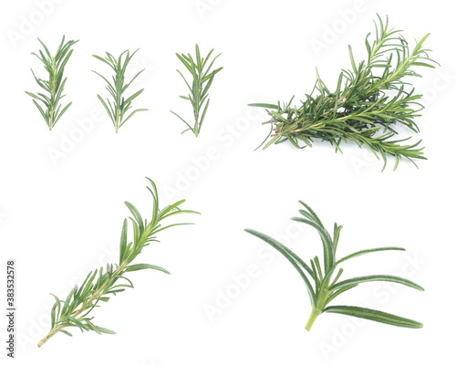 rosemary isolated on white background (Mix, set , collection) © Poramet