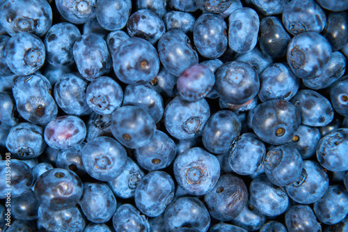 Background from Blueberry. completely closed blueberry for screensaver. Blue berries. Natural. High quality photo