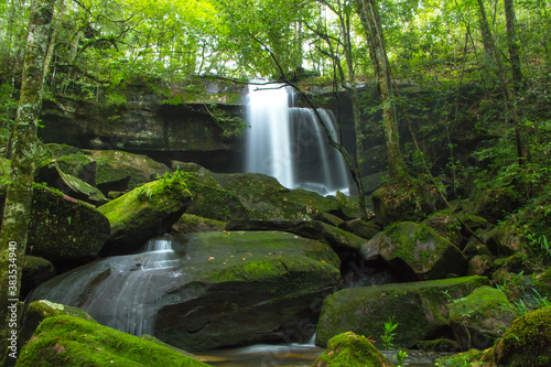 waterfall in the forest