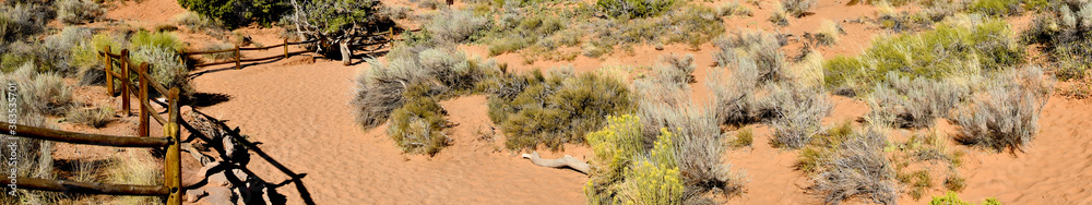 Hiking Trail in Arches National Park Hiking Trail in Arches National Park