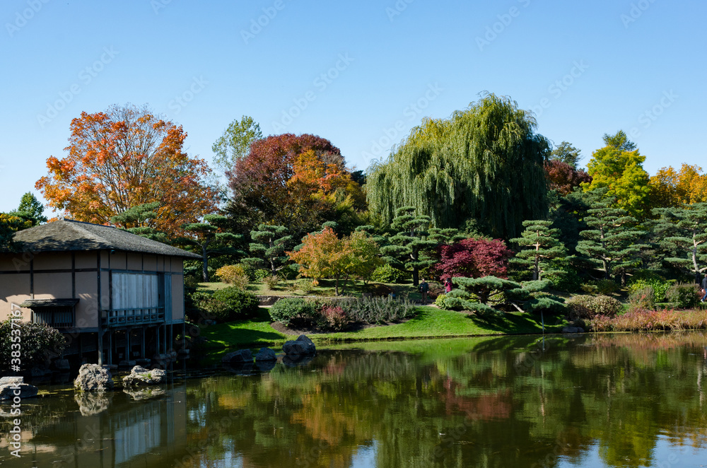 autumn in the park