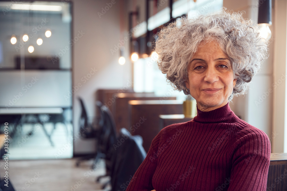 Head And Shoulders Portrait Of Smiling Mature Businesswoman Working In Modern Office Head And Shoulders Portrait Of Smiling Mature Businesswoman Working In Modern Office