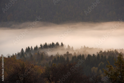 Dense fog swept through the forest. Autumn morning on the mountain. 