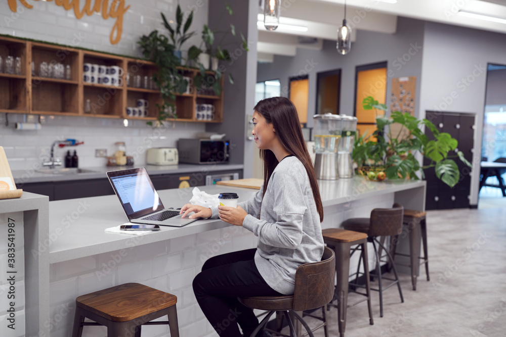 Businesswoman Working On Laptop In Kitchen Area Of Modern Office