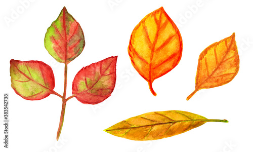 Set of autumn tree leaves. Autumn colored leaves on a thin twig. Red, yellow, green leaf. Botanical watercolor illustration. Good for scrapbooking, textile, sticker and card design, holiday decor.