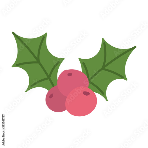 merry christmas, holly berry leaves decoration celebration, isolated design