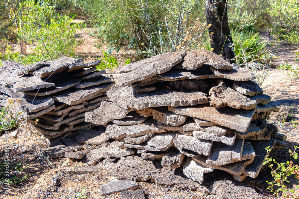 Pile of raw cork newly stripped from tree drying in the sun