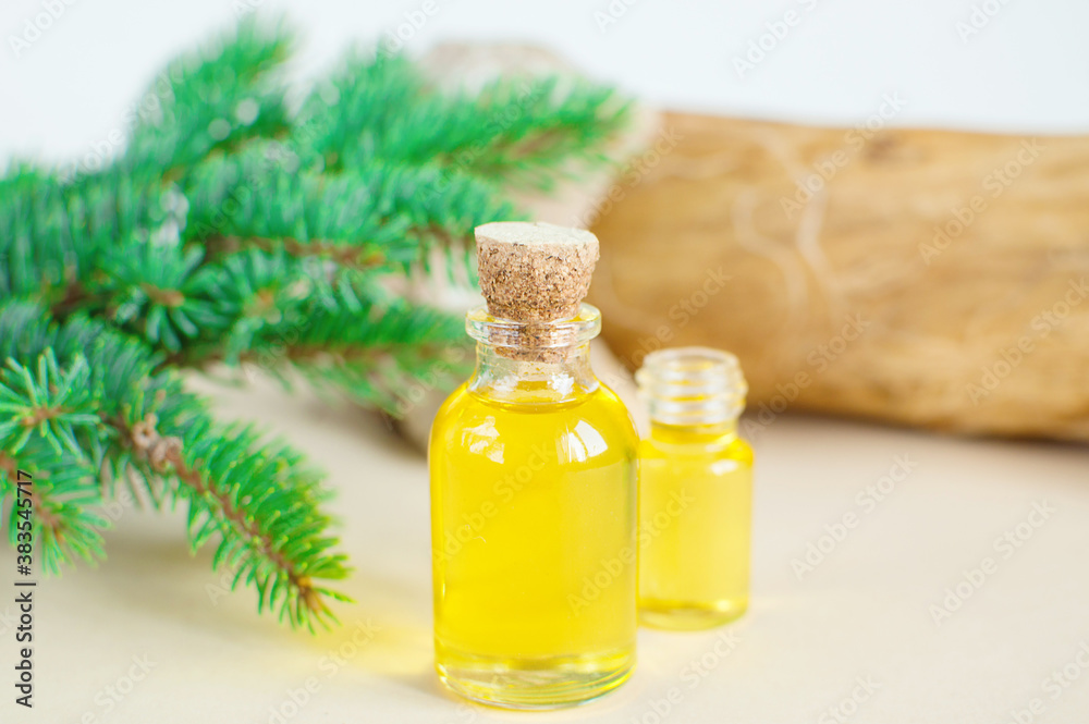Spruce essential oil in a bottle, with fresh spruce twigs in the background. Aromatherapy, spa, homeopathy.